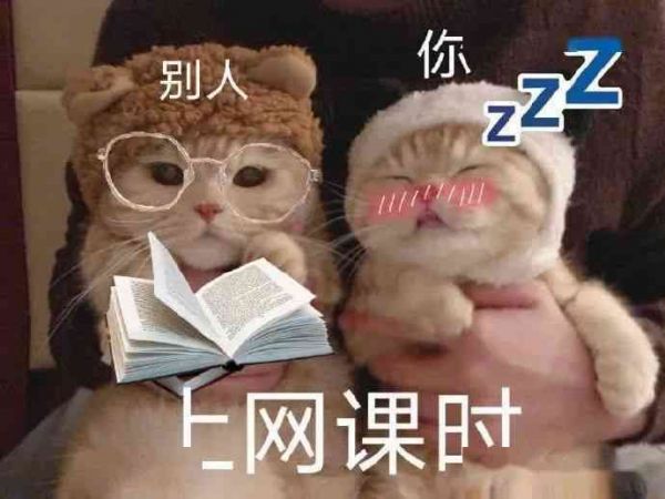 萌宠猫咪：二次元风格全解析与可爱猫咪趣味盘点