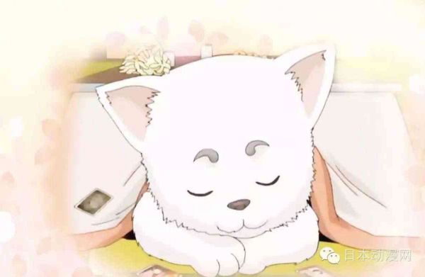 全方位精选：二次元风格宠物壁纸 ，满足你的个性化桌面需求