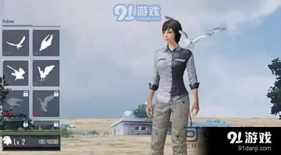 刺激战场有哪些宠物 宠物种类介绍大全