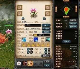 QQ幻想世界宠物大全？最受欢迎的宠物排行榜