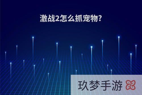 激战2怎么抓宠物?