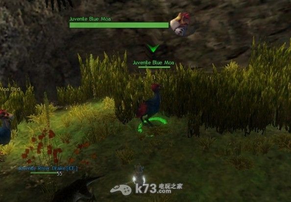 激战2游侠如何抓宠物