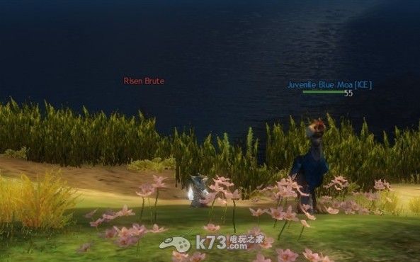 激战2游侠如何抓宠物