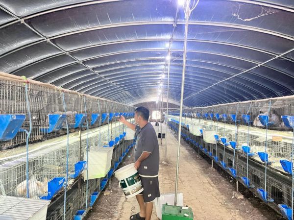 尚颜辉正在给宠物兔喂食