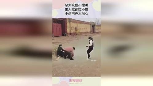 恶犬咬住不撒嘴，主人拉都拉不住，小孩叫声太揪心！