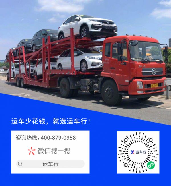 多功能轿车托运猫咪