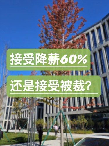 接受降薪60%，还是接受被裁？