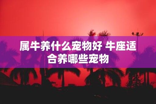 属牛养什么宠物好 牛座适合养哪些宠物