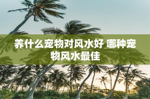 养什么宠物对风水好 哪种宠物风水最佳