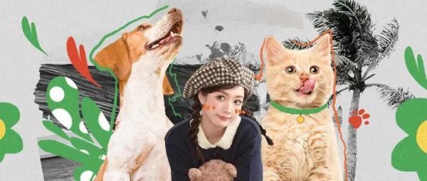 据说淘宝天猫宠物联合它博会搞了点新花样