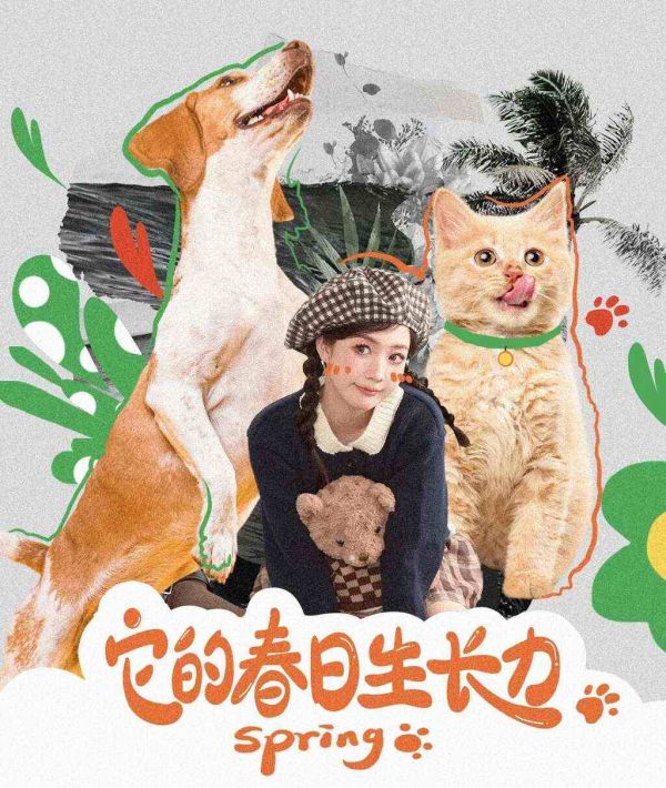 据说淘宝天猫宠物联合它博会搞了点新花样
