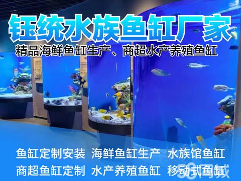 钰统水族饭店海鲜鱼缸直销·水族馆鱼缸安装维修定制、养殖缸鱼池海鲜缸 高档酒店观赏鱼缸江浙沪配送 