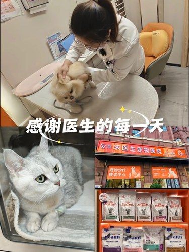 感谢医生的每一天～