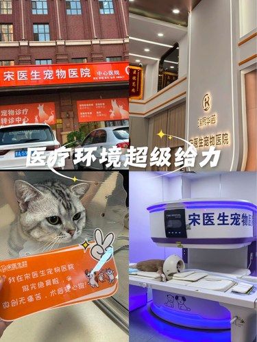 医技哪家强？看这里~