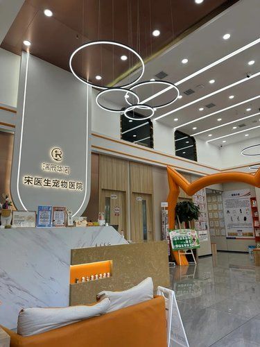 毛孩子的专属医院医疗环境超级给力