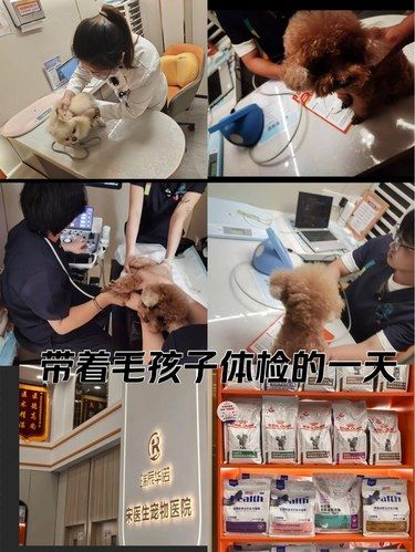 医术超赞 医心更美~