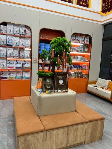 兔兔友好型宠物医院