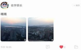 宠物语