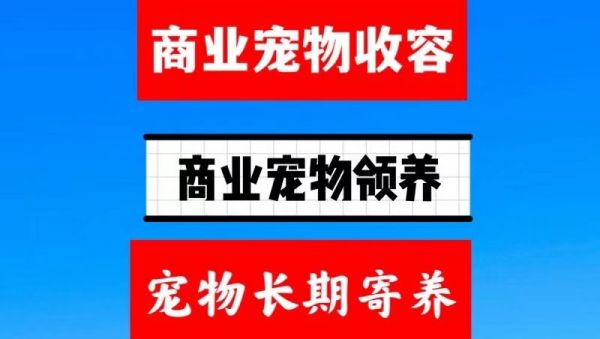 宠物收容站 动物收容所 狗收容所 宠物猫上门回收