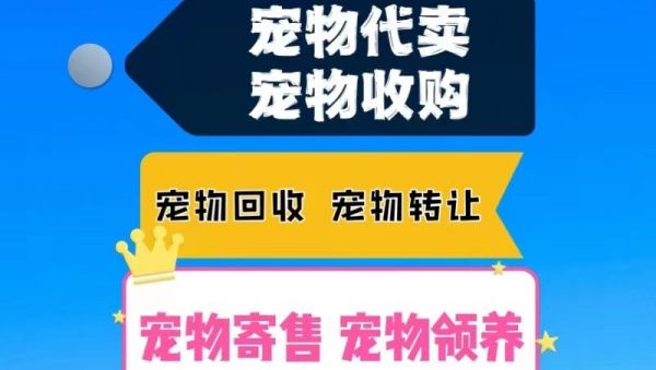 宠物收容站 动物收容所 狗收容所 宠物猫上门回收