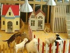 济南上门纠正训犬-宠爱多训犬学校