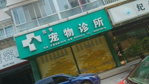 佳雯宠物医院总部地址电话（佳雯宠物医院营业时间）
