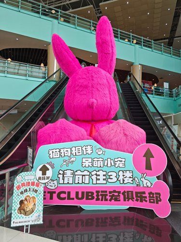这猫怎么长得跟辆车似的？
