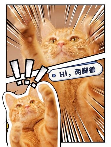 【暴风炫饭｜人，接受喵的萌力暴击吧】