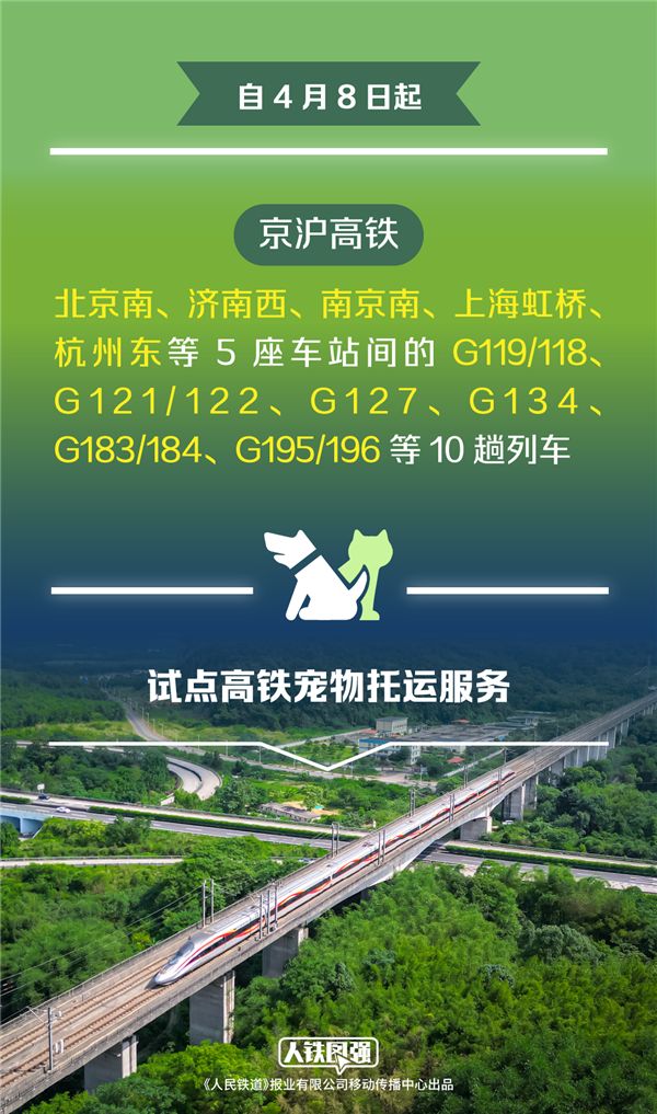 12306推出宠物托运功能！毛孩子如何上高铁 保姆级攻略来了