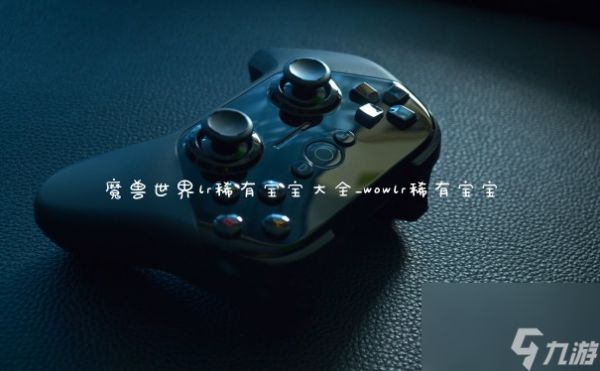魔兽世界lr稀有宝宝大全_wowlr稀有宝宝
