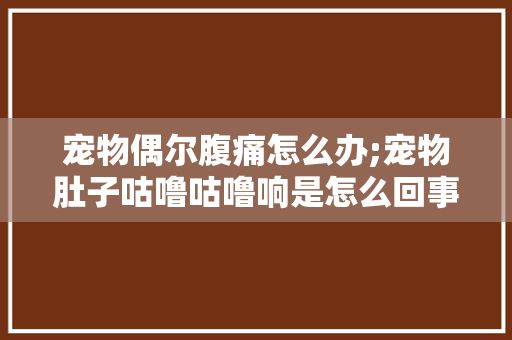 宠物偶尔腹痛怎么办;宠物肚子咕噜咕噜响是怎么回事