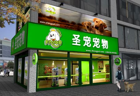 临沂开宠物店需要多少钱