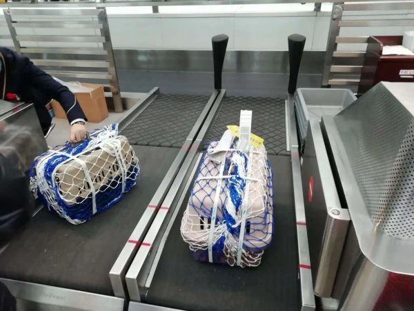 重庆铜梁宠物托运-靠谱的宠物托运公司
