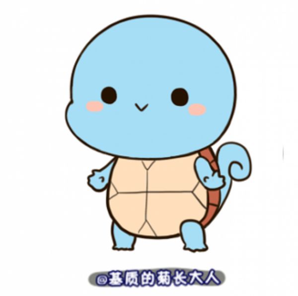 神奇宝贝杰尼龟怎么画 可爱的小乌龟宠物小精灵简笔画画法 卡通画教程_www.youyix.com