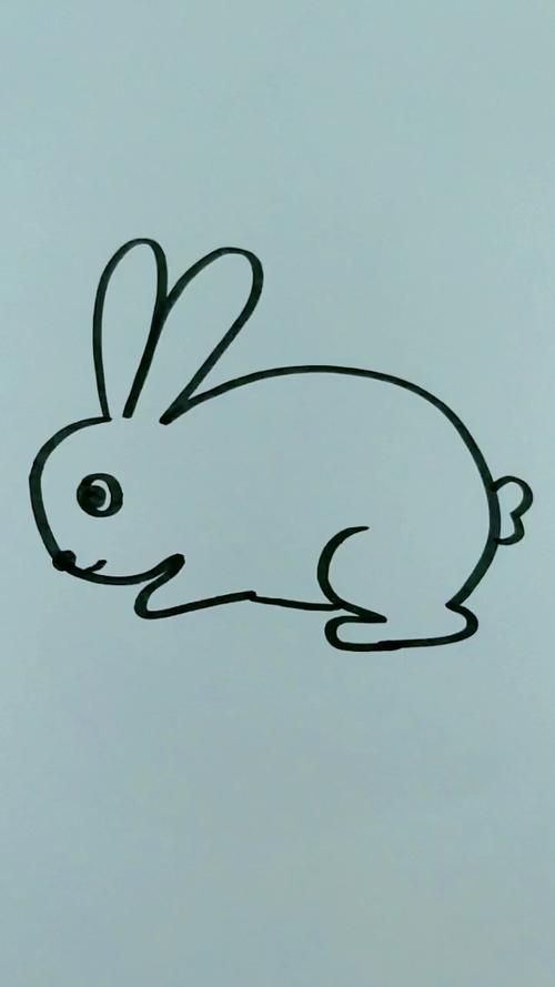 用3画兔子