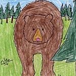 小熊简笔画