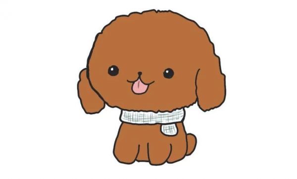 一只围围巾的泰迪狗狗简笔画教程