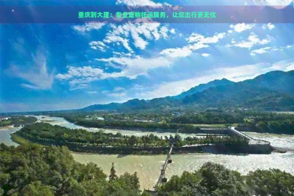 重庆到大理：专业宠物托运服务，让您出行更无忧