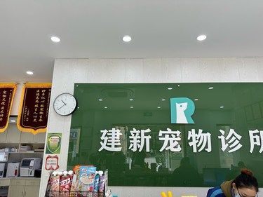 嘉定新城就来这家