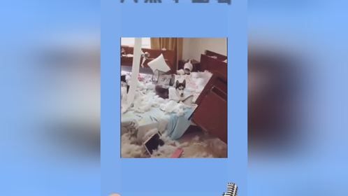 那些质疑谁是原创的，看看每天谁发的最早，盗我的，都把我拉黑了