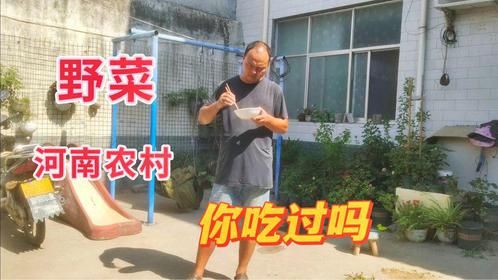 河南许昌持续高温，赶紧下雨吧！缓解一下旱情，你吃过野菜吗？