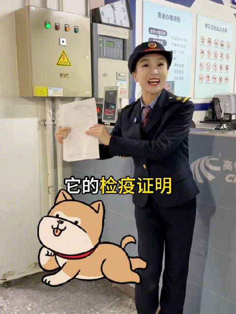 高铁如何托运宠物?详解版流程来啦!