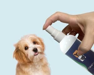 宠物狗狗驱虫多少钱一次（了解狗狗驱虫的费用和注意事项）