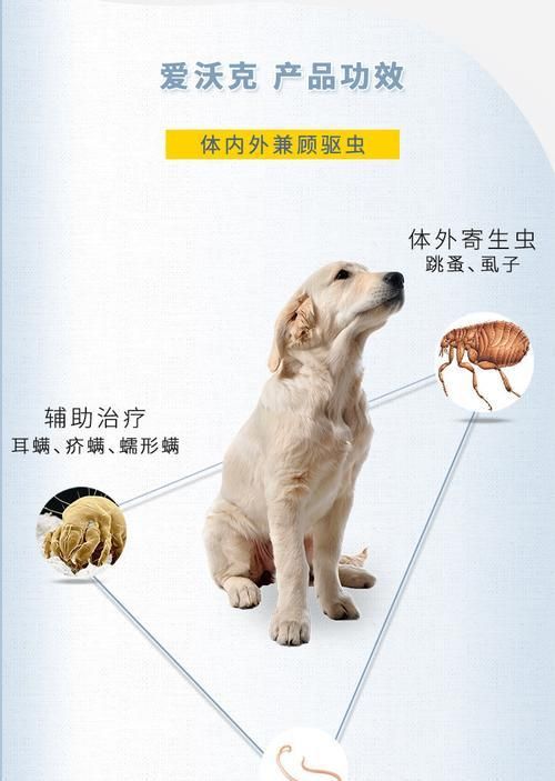 狗狗驱虫要多少钱（驱虫为宠物健康保驾护航）