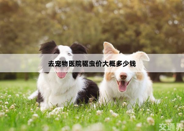 多少钱
