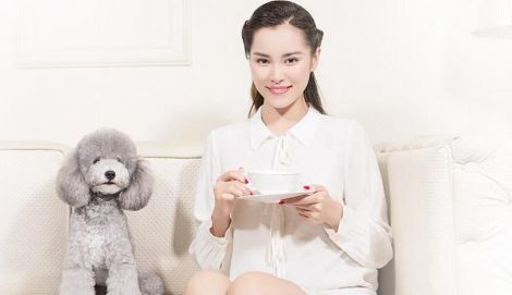 乐宠宠物用品店