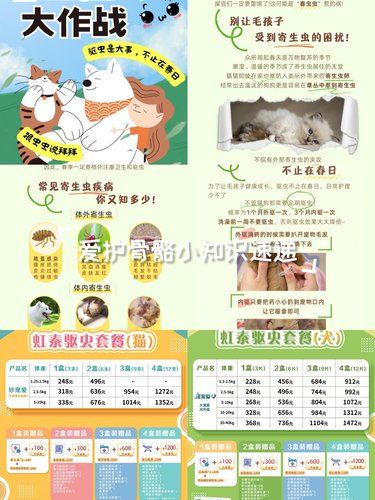 春季驱虫大作战，守护爱宠健康