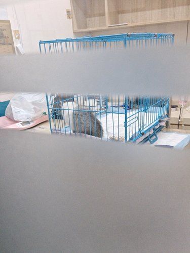 医术超赞 医心更美~