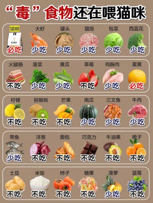 猫咪不能吃什么食物排名（猫咪能吃的十种食物）1