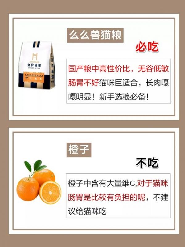 猫咪不能吃什么食物排名（猫咪能吃的十种食物）2